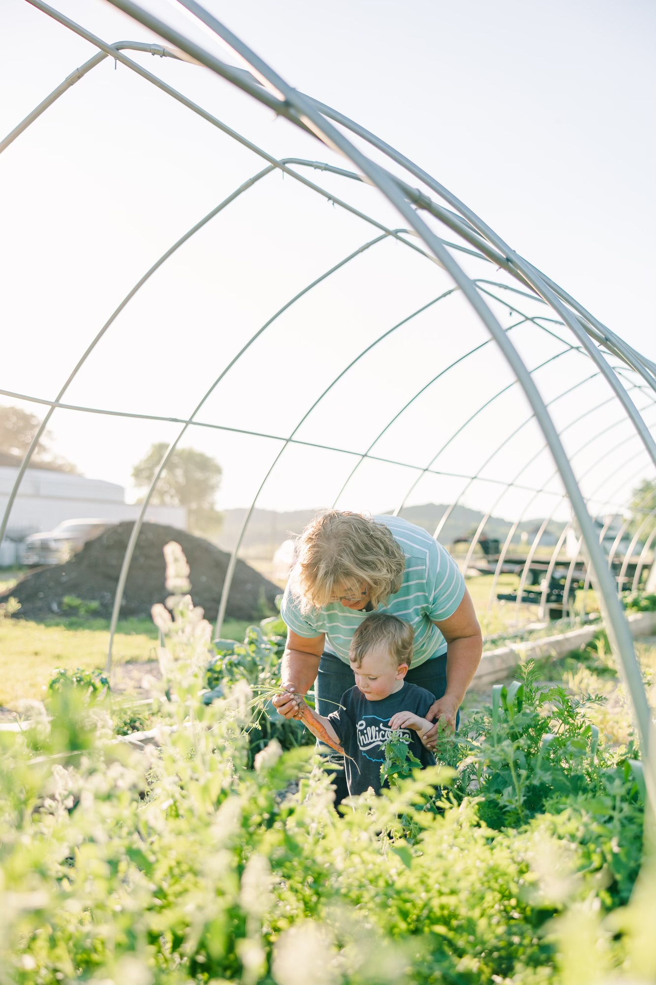 A grandmother and her young grandson explore a vibrant vegetable garden inside a greenhouse, engaging in gardening activities together. Sunlight filters through the structure, highlighting the lush greenery and their shared moments of discovery.